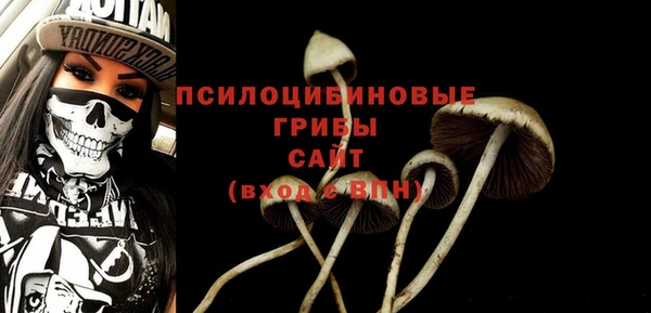спиды Гусиноозёрск