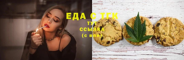 ПСИЛОЦИБИНОВЫЕ ГРИБЫ Гусев