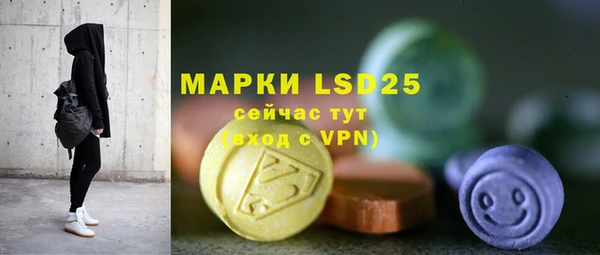 ПСИЛОЦИБИНОВЫЕ ГРИБЫ Гусев