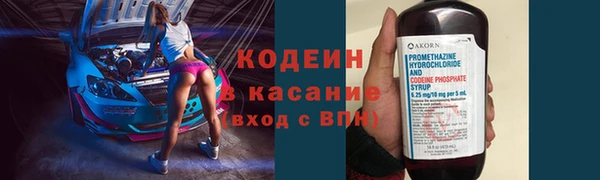 ПСИЛОЦИБИНОВЫЕ ГРИБЫ Гусев