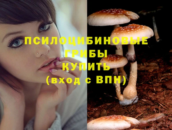 ПСИЛОЦИБИНОВЫЕ ГРИБЫ Гусев