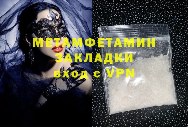 ПСИЛОЦИБИНОВЫЕ ГРИБЫ Гусев