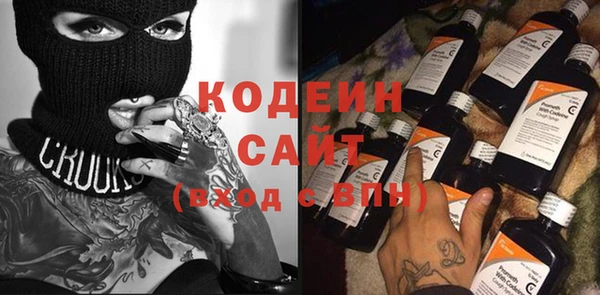 ПСИЛОЦИБИНОВЫЕ ГРИБЫ Гусев