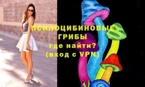 альфа пвп Гусь-Хрустальный