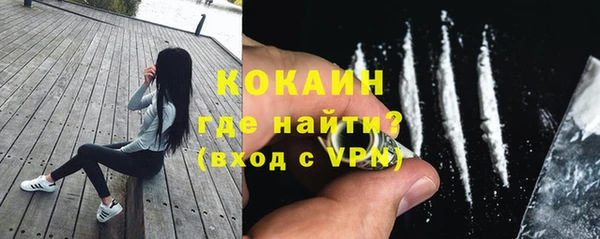 крисы Туринск