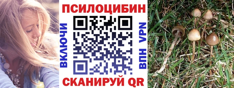 Галлюциногенные грибы Psilocybe Новый Оскол