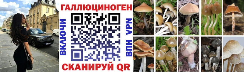 Псилоцибиновые грибы мицелий  Новый Оскол 
